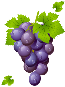 grape-with-leaves-clipart-picture